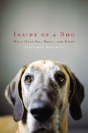 Inside-of-a-Dog-cover